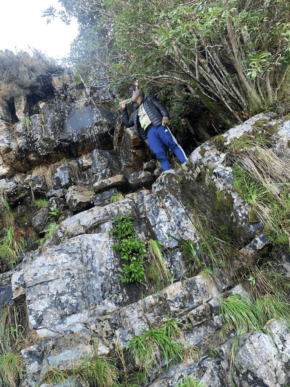 Cecilia Waterfall via Cecilia Forest