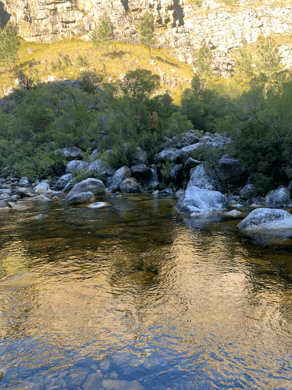 Elands River Trail