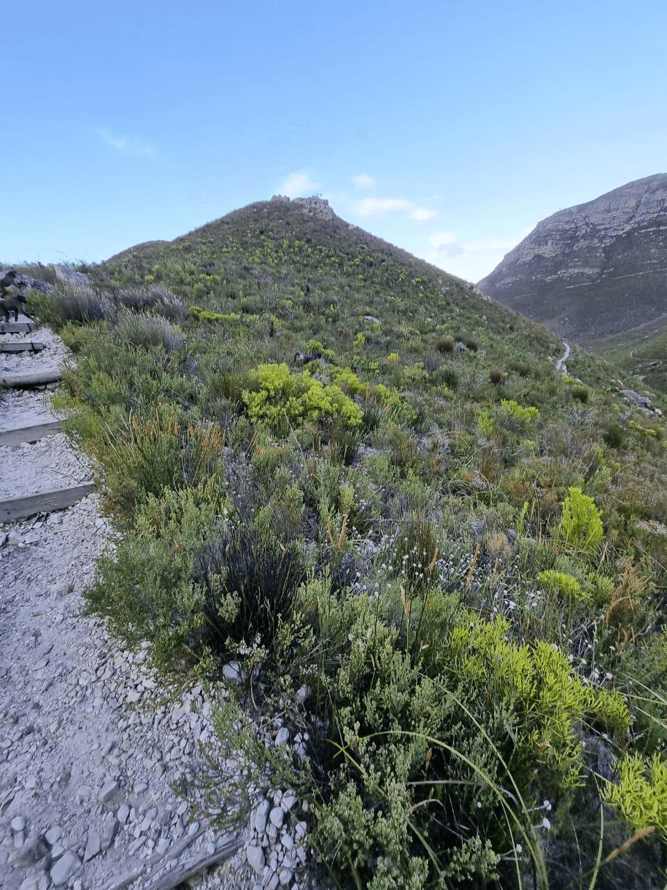 Hermanus Fernkloof Waterfall