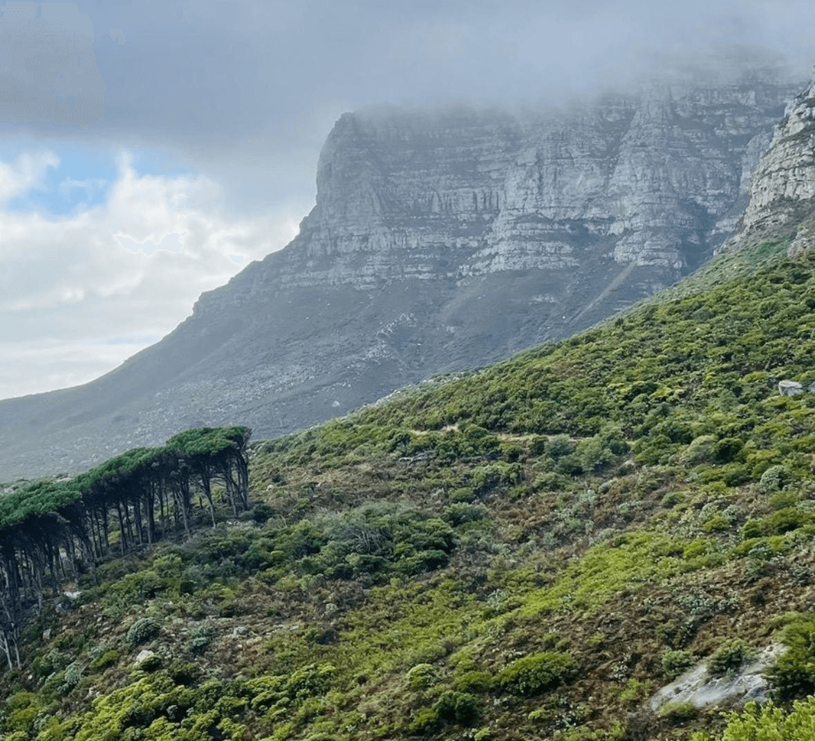 Pipe Track from Kloof Nek